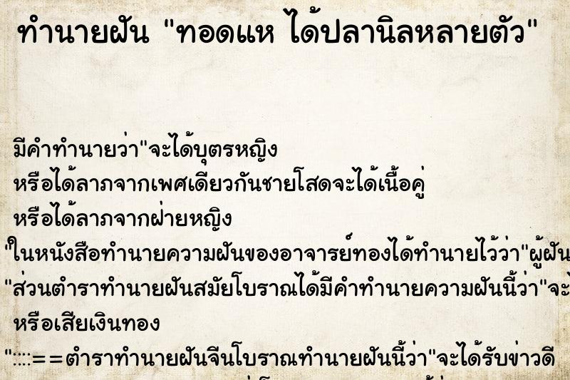 ทำนายฝัน ทอดแห ได้ปลานิลหลายตัว ทำนายฝัน ทอดแห ได้ปลานิลหลายตัว
